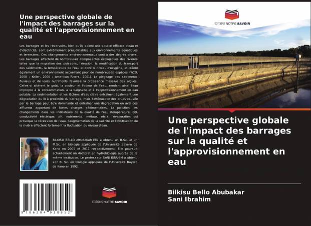 Une Perspective Globale De L Impact Des Barrages Sur La Qualit Et L