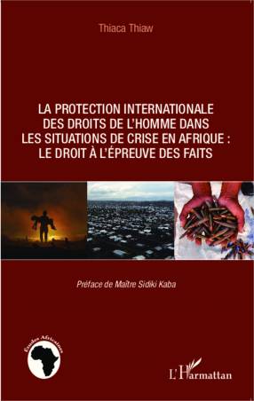 La protection internationale des droits de l&#039;homme dans les situations de crise en Afrique :