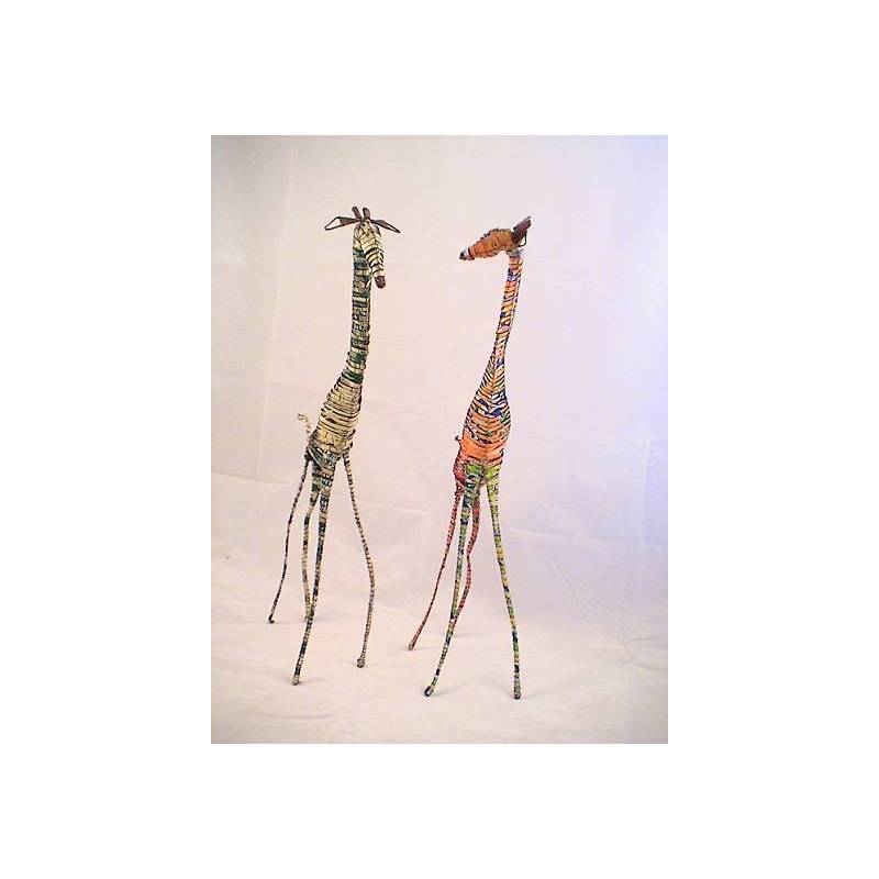 Girafe en canette
