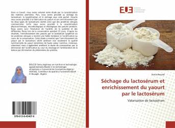 Séchage du lactosérum et enrichissement du yaourt par le lactosérum