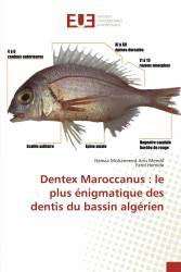Dentex Maroccanus : le plus énigmatique des dentis du bassin algérien
