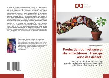 Production du méthane et du biofertiliseur : l'Energie verte des déchets