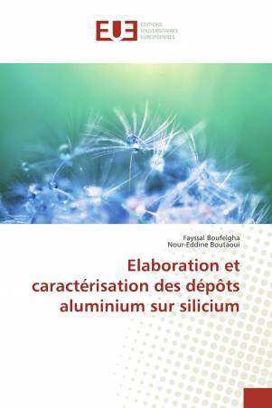 Elaboration et caractérisation des dépôts aluminium sur silicium