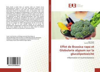 Effet de Brassica rapa et Globularia alypum sur la glucolipotoxicité