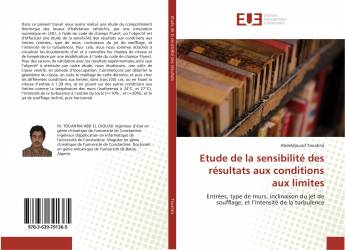 Etude de la sensibilité des résultats aux conditions aux limites