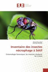 Inventaire des insectes nécrophage à Sétif