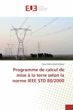Programme de calcul de mise à la terre selon la norme IEEE STD 80/2000