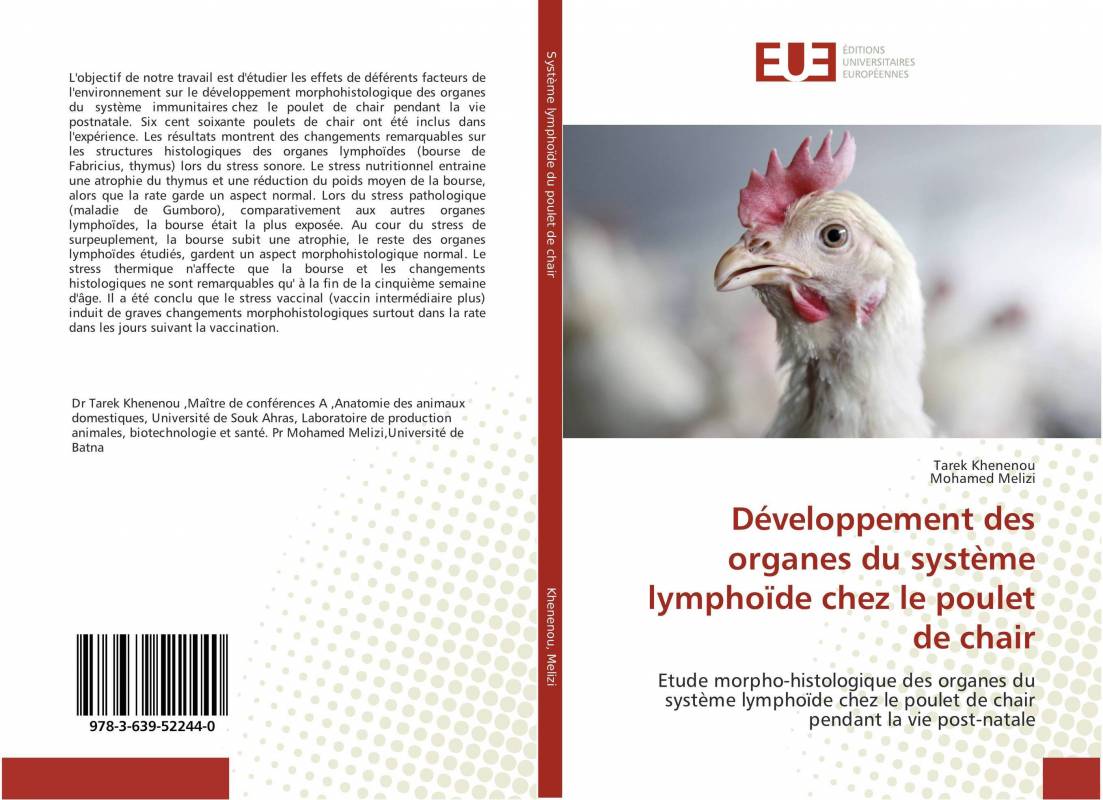 Développement des organes du système lymphoïde chez le poulet de chair
