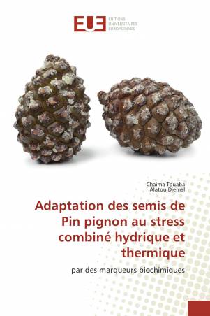 Adaptation des semis de Pin pignon au stress combiné hydrique et thermique