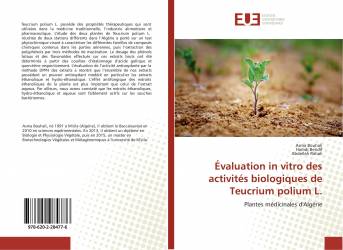 Évaluation in vitro des activités biologiques de Teucrium polium L.
