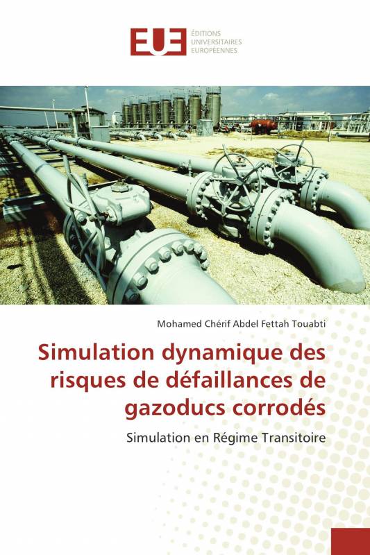 Simulation dynamique des risques de défaillances de gazoducs corrodés