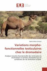Variations morpho-fonctionnelles testiculaires chez le dromadaire
