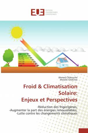 Froid &amp; Climatisation Solaire: Enjeux et Perspectives