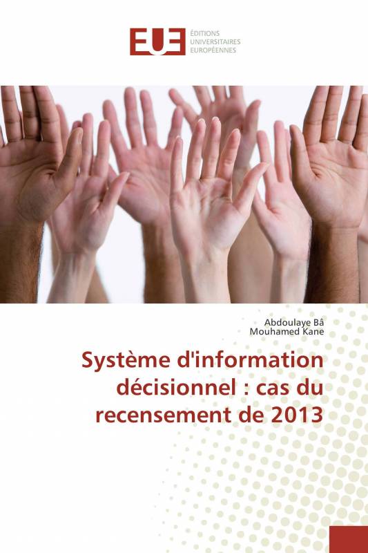 Système d'information décisionnel : cas du recensement de 2013