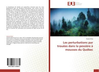 Les perturbations par trouées dans la pessière à mousses du Québec