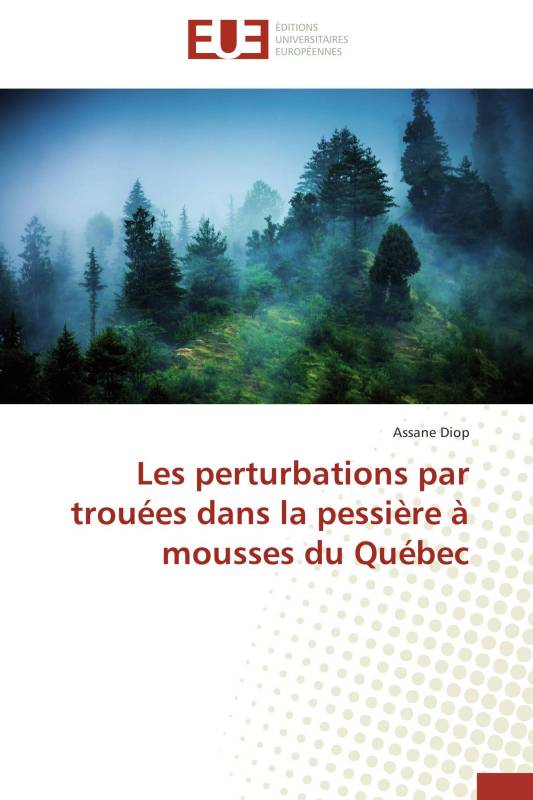 Les perturbations par trouées dans la pessière à mousses du Québec