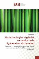 Biotechnologies végétales au service de la régénération du bambou