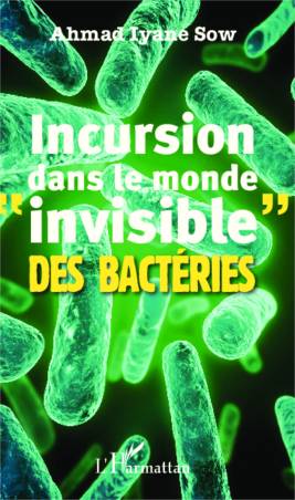 Incursion dans le monde "invisible" des bactéries