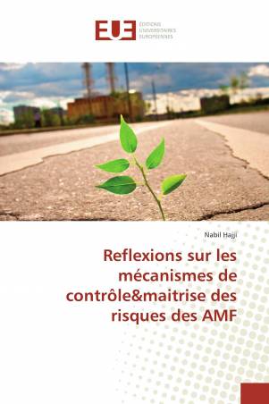 Reflexions sur les mécanismes de contrôle&maitrise des risques des AMF