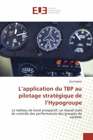 L’application du TBP au pilotage stratégique de l’Hypogroupe