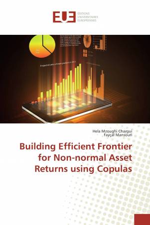 Building Efficient Frontier for Non-normal Asset Returns using Copulas