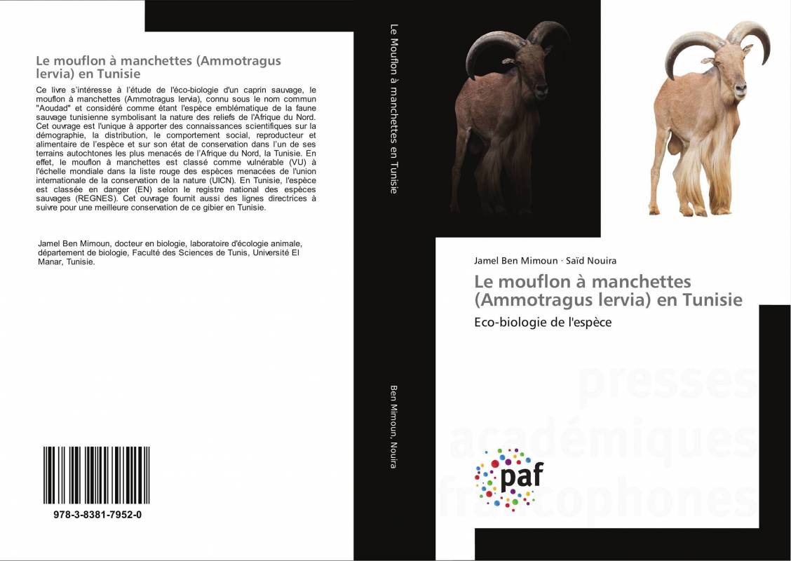 Le mouflon à manchettes (Ammotragus lervia) en Tunisie