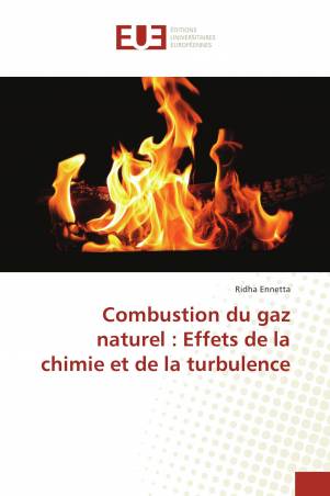 Combustion du gaz naturel : Effets de la chimie et de la turbulence