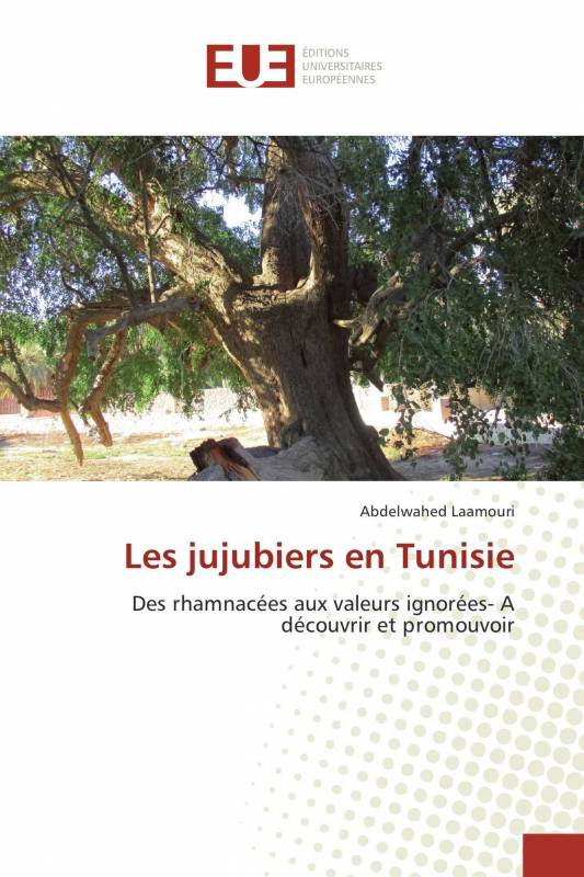 Les jujubiers en Tunisie