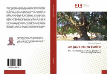 Les jujubiers en Tunisie