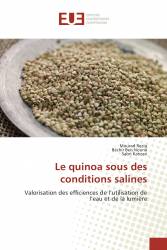 Le quinoa sous des conditions salines
