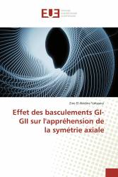Effet des basculements GI-GII sur l'appréhension de la symétrie axiale