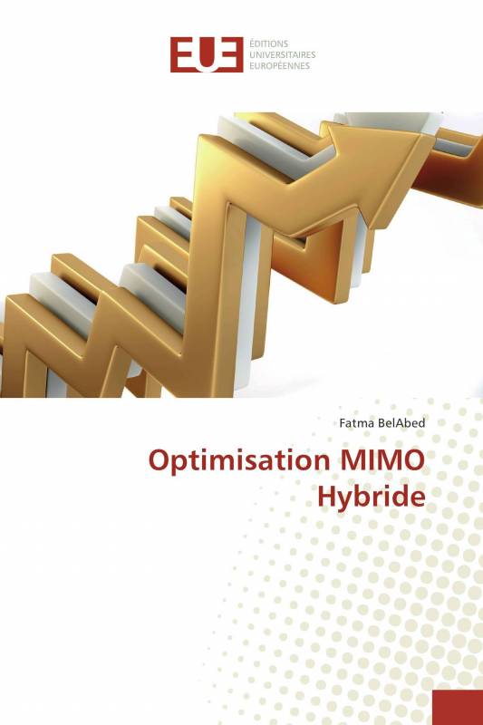 Optimisation MIMO Hybride