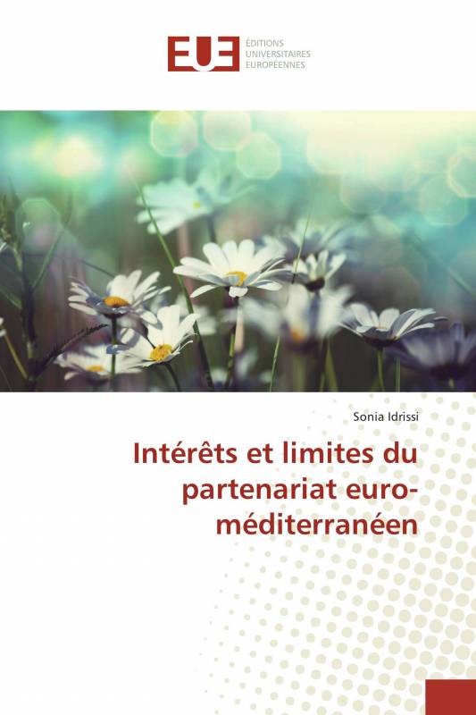 Intérêts et limites du partenariat euro-méditerranéen