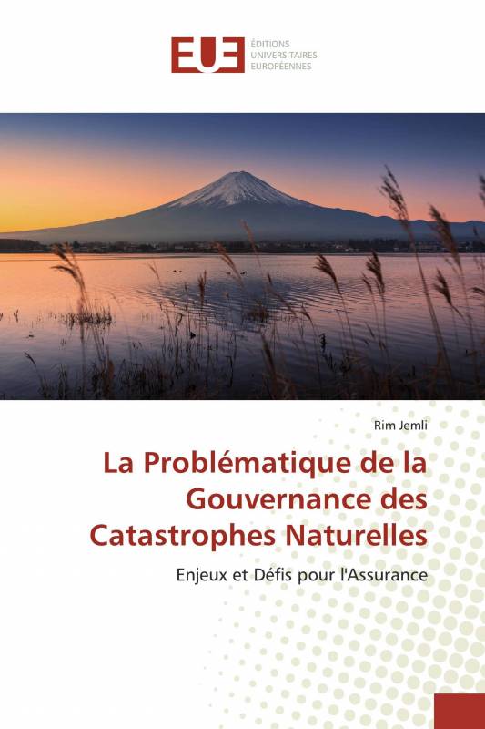 La Problématique de la Gouvernance des Catastrophes Naturelles