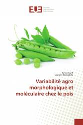 Variabilité agro morphologique et moléculaire chez le pois