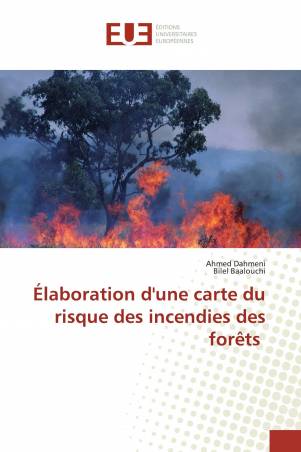Élaboration d'une carte du risque des incendies des forêts