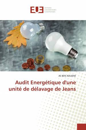 Audit Energétique d&#039;une unité de délavage de Jeans