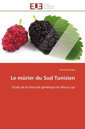 Le mûrier du Sud Tunisien