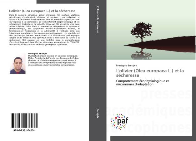 L'olivier (Olea europaea L.) et la sécheresse