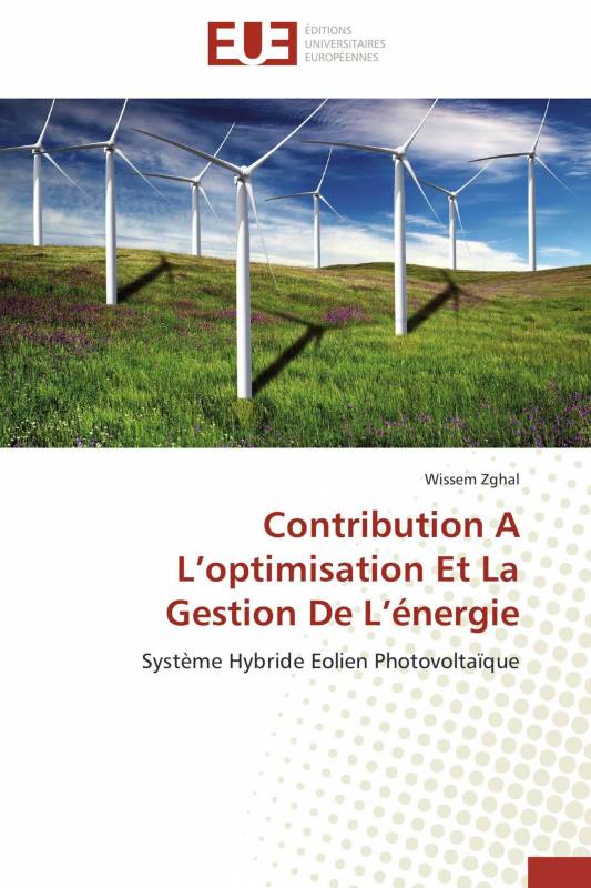 Contribution A L’optimisation Et La Gestion De L’énergie