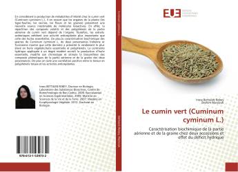 Le cumin vert (Cuminum cyminum L.)