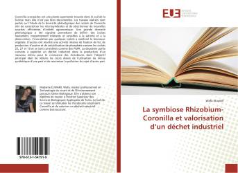 La symbiose Rhizobium-Coronilla et valorisation d’un déchet industriel