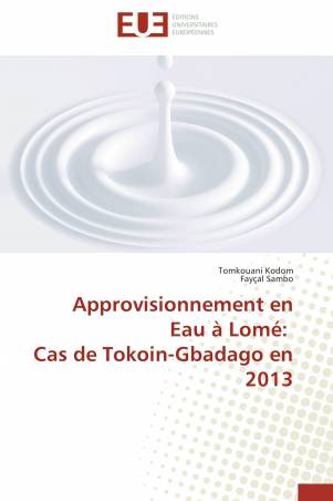 Approvisionnement en Eau à Lomé:   Cas de Tokoin-Gbadago en 2013