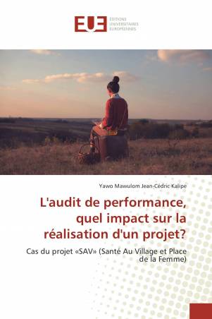 L'audit de performance, quel impact sur la réalisation d'un projet?