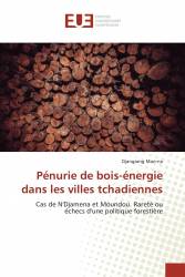Pénurie de bois-énergie dans les villes tchadiennes