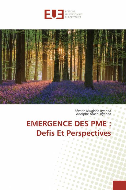 EMERGENCE DES PME : Defis Et Perspectives