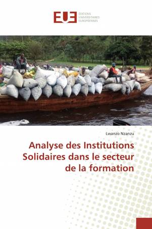 Analyse des Institutions Solidaires dans le secteur de la formation