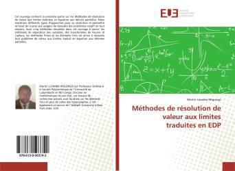 Méthodes de résolution de valeur aux limites traduites en EDP