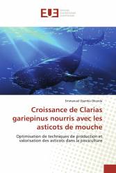 Croissance de Clarias gariepinus nourris avec les asticots de mouche