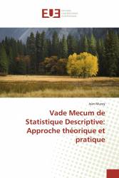 Vade Mecum de Statistique Descriptive: Approche théorique et pratique